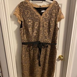 Stylish Lace Calvin Klein Dress